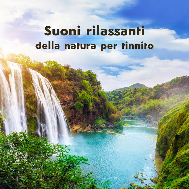 Suoni rilassanti della natura per tinnito - Calma per te dopo grandi rumori, Suoni di acqua, foresta e oceano