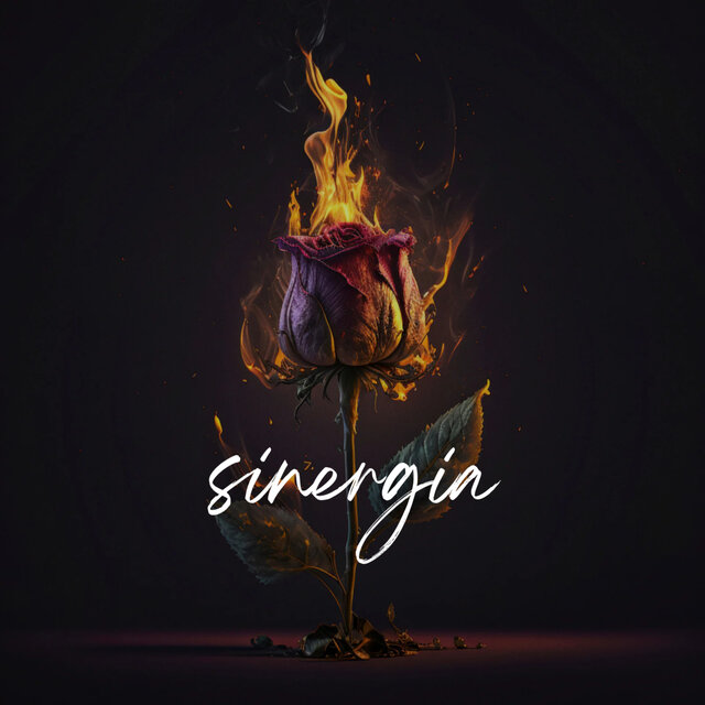 Sinergia