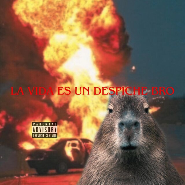 LA VIDA ES UN DESPICHE BRO