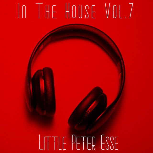 In The House Vol.7