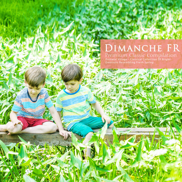 Classical Collection of Bright Emotions Resembling Fresh Spring