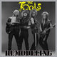 Cover art for album Remodeling by The Tools