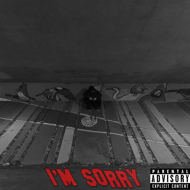 I'm Sorry