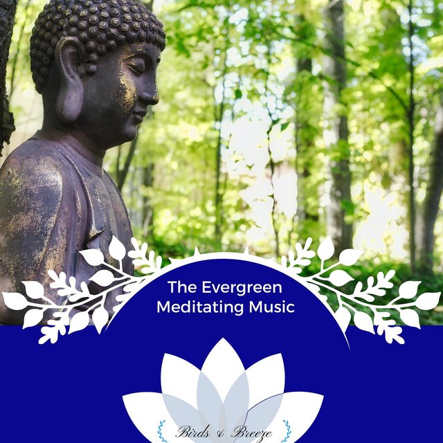 The Evergreen Meditating Music
