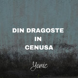 Din Dragoste in Cenusa