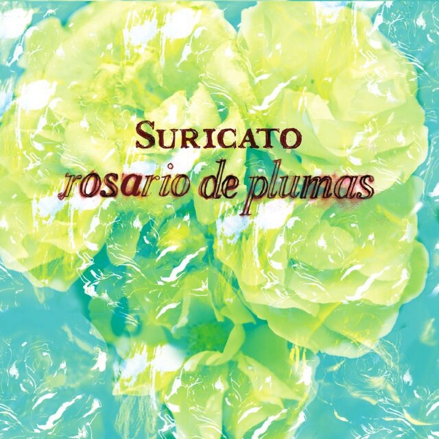 Rosario de Plumas