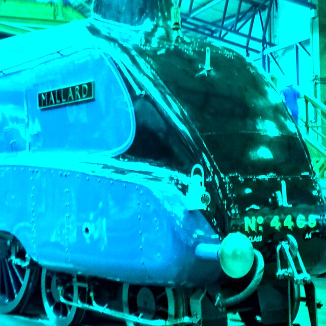 Mallard
