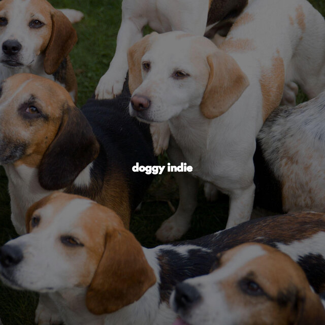 doggy indie