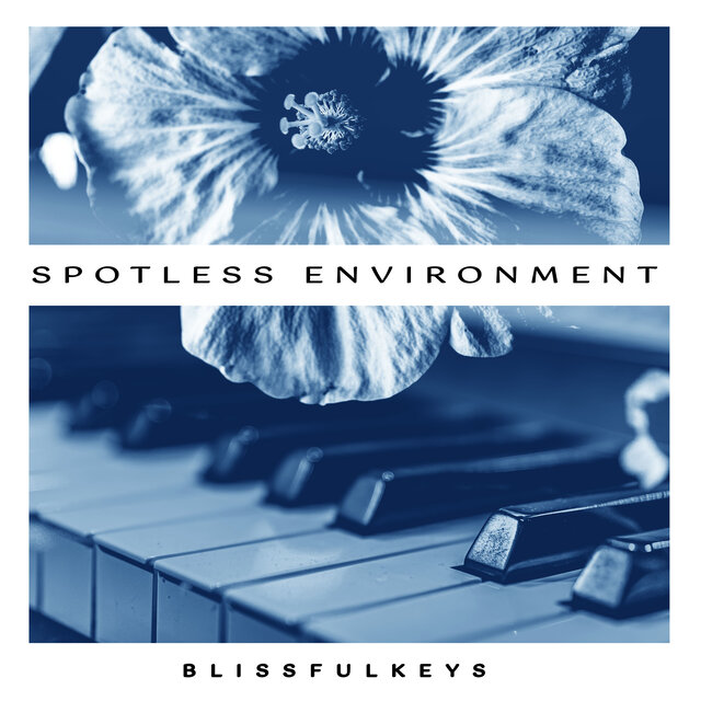 Spotless Environment