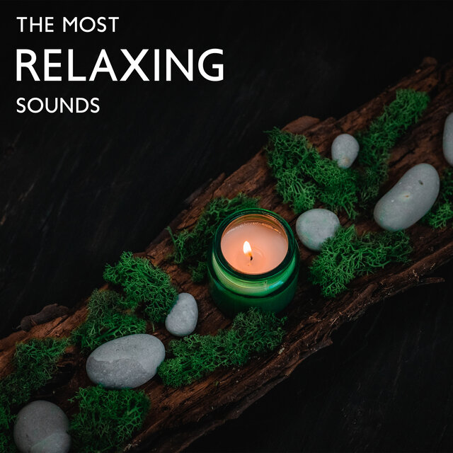 The Most Relaxing Sounds