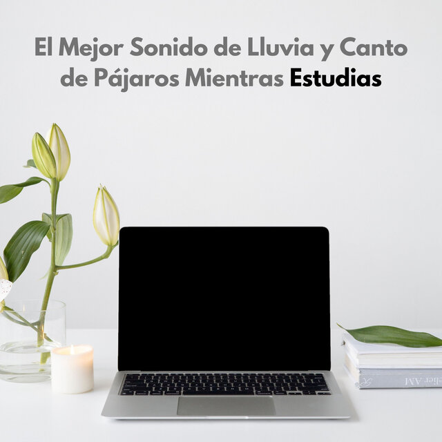 El Mejor Sonido De Lluvia Y Canto De Pájaros Mientras Estudias