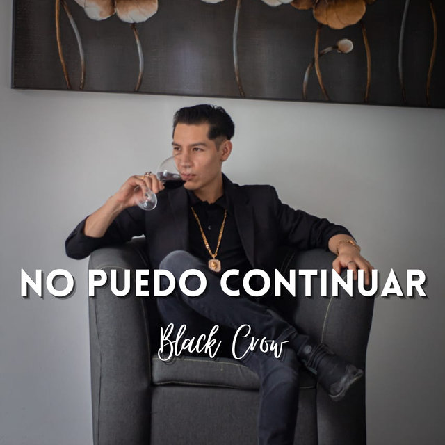 No Puedo Continuar
