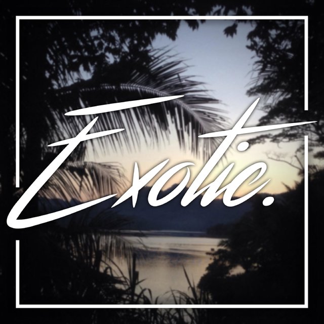 Exotic