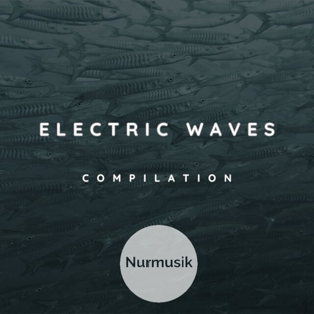 Electric Waves