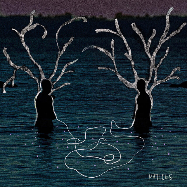 MATICES
