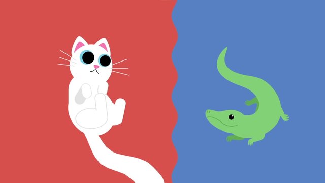 Animal Classification: The Vertebrates Song
