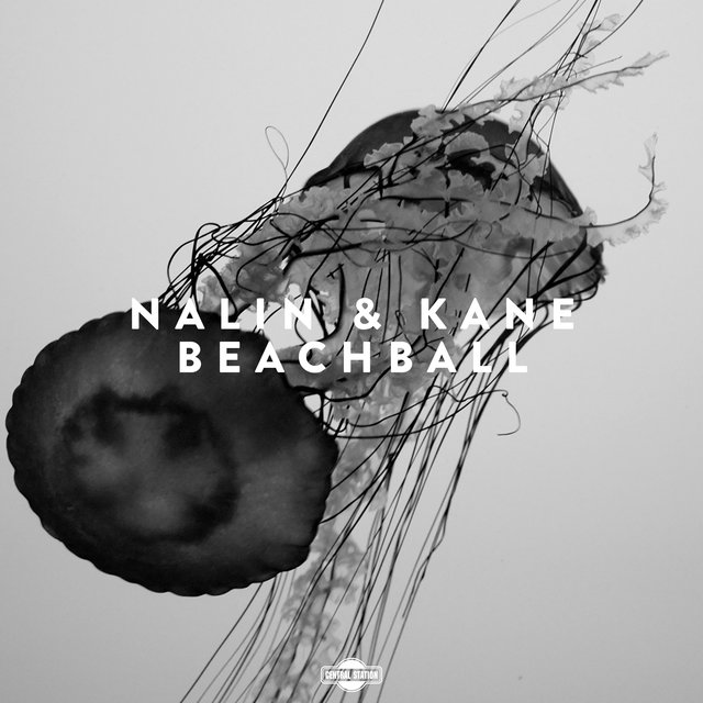 Beachball