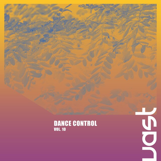 Dance Control, Vol. 10