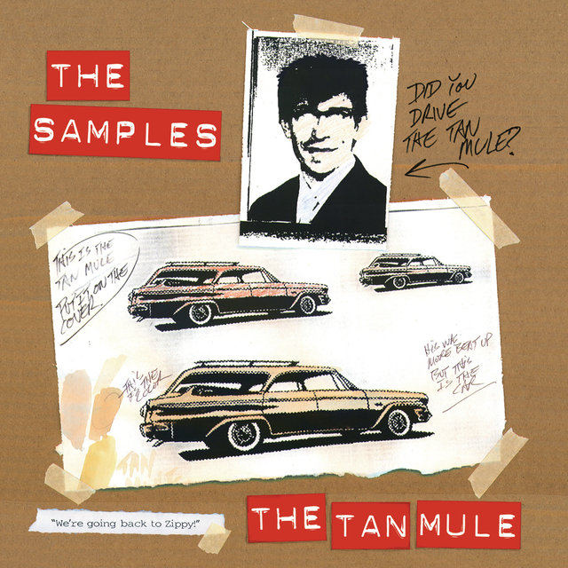 The Tan Mule