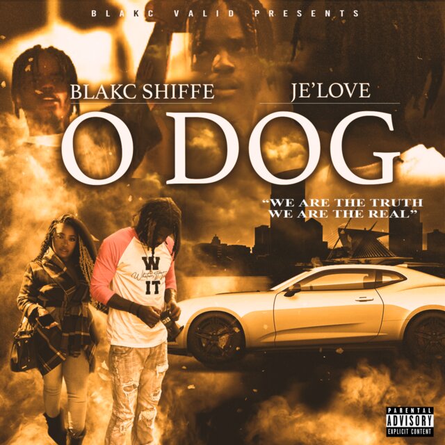 O Dog