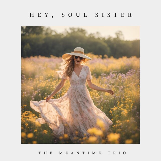 Hey, Soul Sister (Cover)