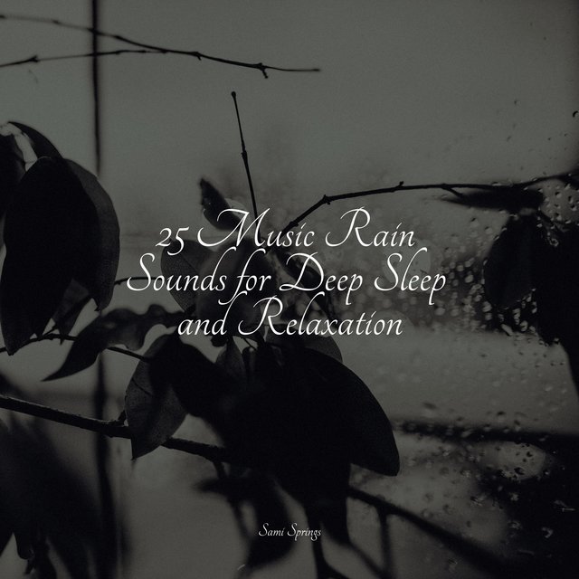 25 Music Rain Sounds for Deep Sleep and Relaxation by Nature Sounds ...