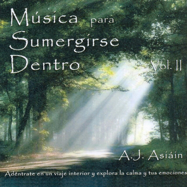 Música para Sumergirse Dentro (Volumen 2)