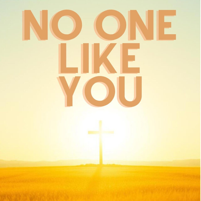 No One Like YOU