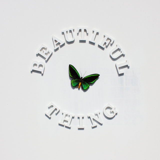 Beautiful Thing