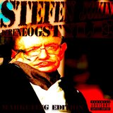 STEFEN JOKIN (feat. Clúster)