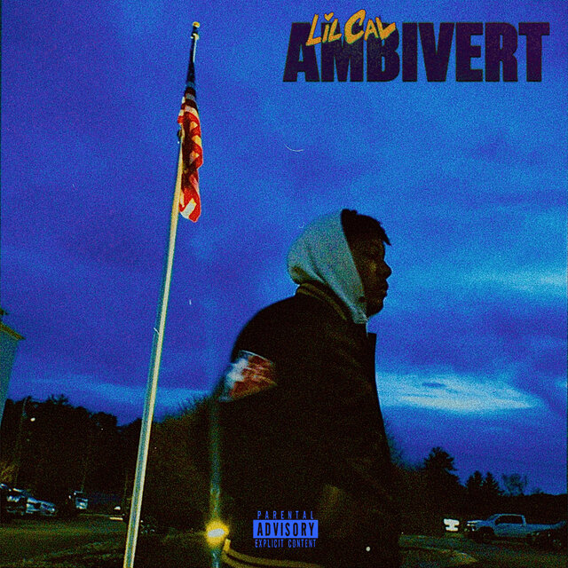 Ambivert
