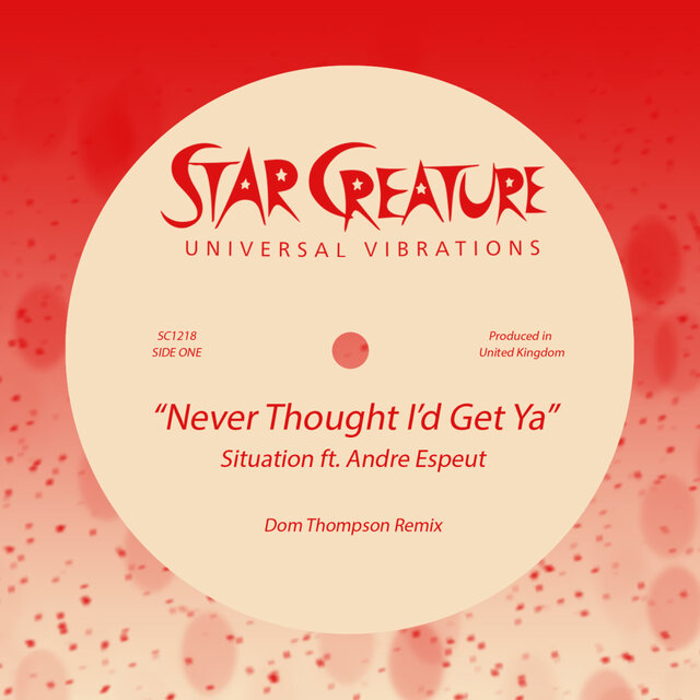 Never Thought I'd Get Ya (Dom Thompson Remix)