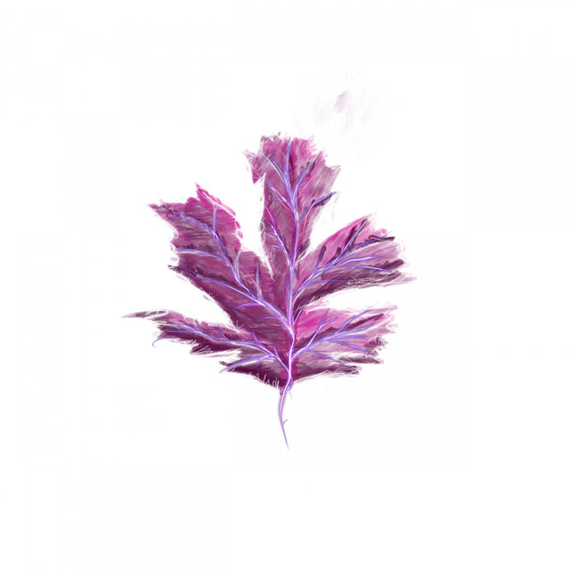 Grey Leaves