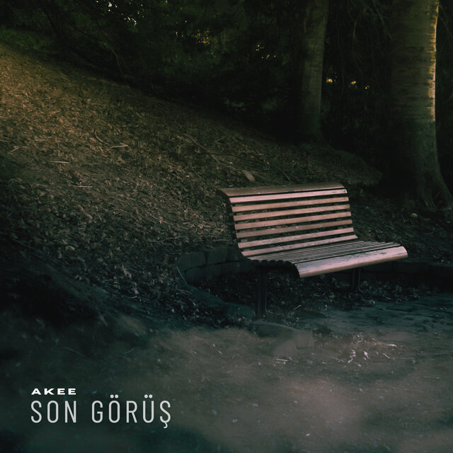 Son Görüş
