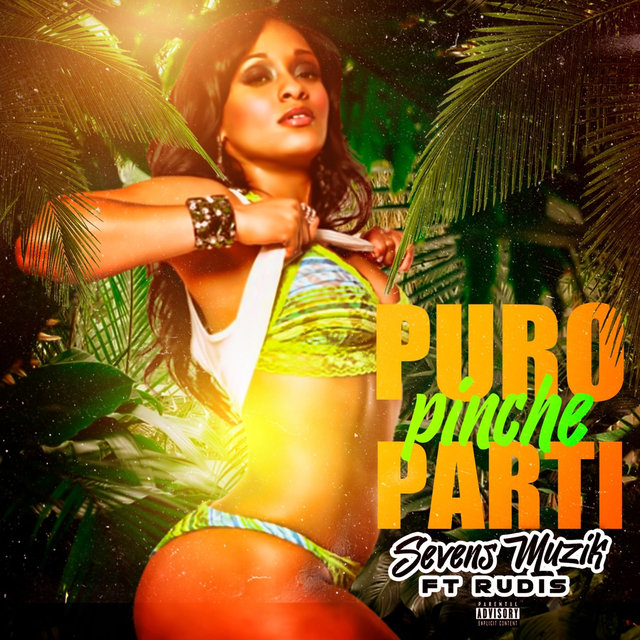 Puro Pinchi Pari