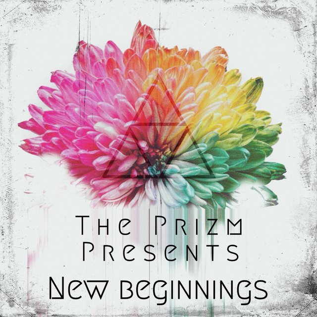 New Beginnings