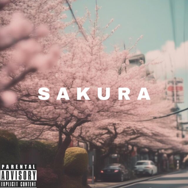 S A K U R A