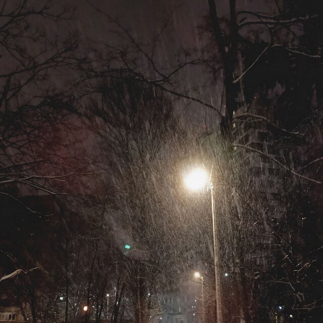 Это сон