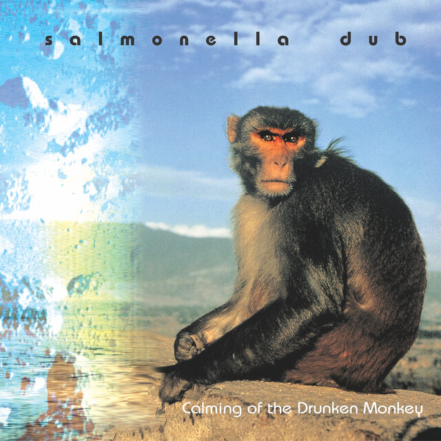 Calming of the Drunken Monkey (2025 Remastered Version)