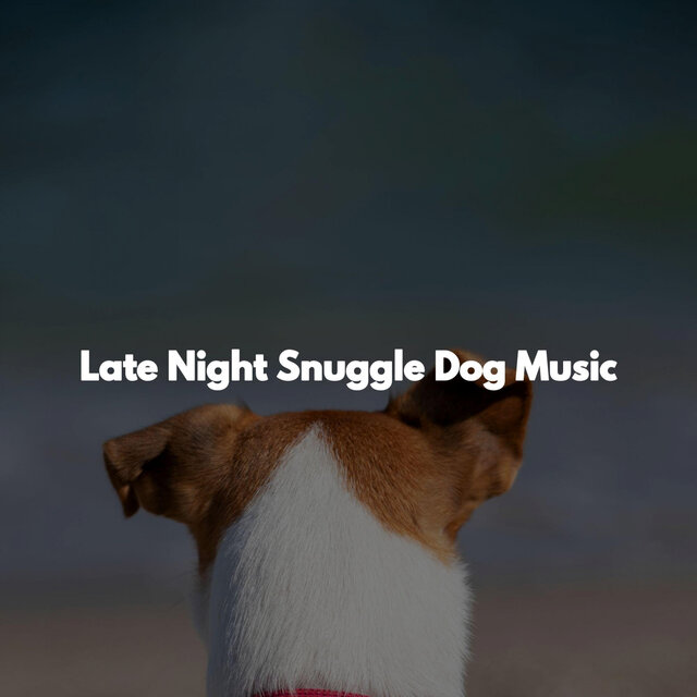 Late Night Snuggle Dog Music