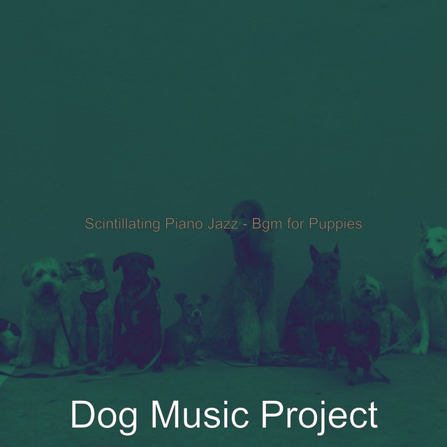 Scintillating Piano Jazz - Bgm for Puppies