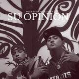 Su Opinión