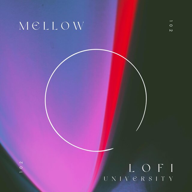 Mellow Lofi 102