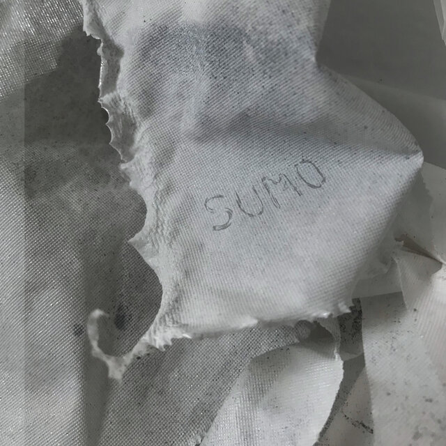 Sumo