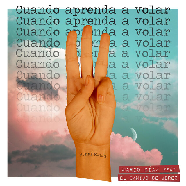 Cuando Aprenda a Volar
