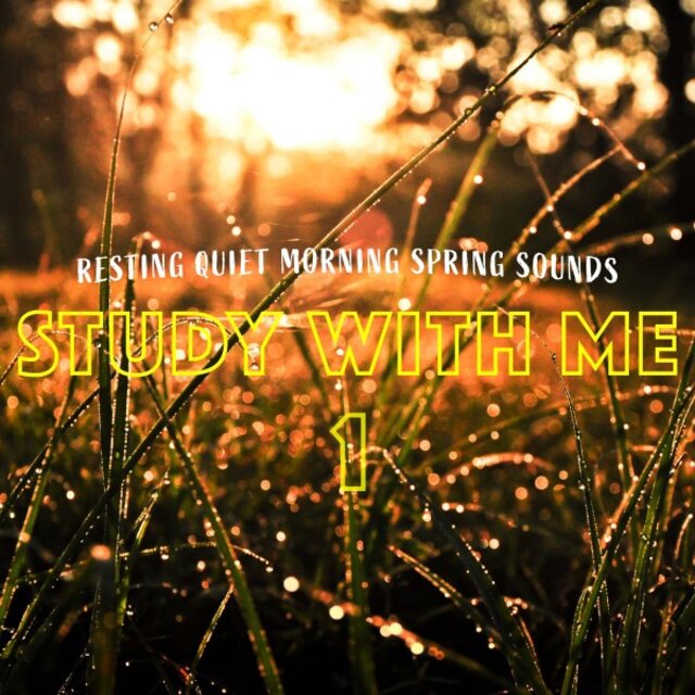 Study with Me: Resting Quiet Morning Spring Sounds