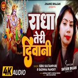 Radha Teri Diwani