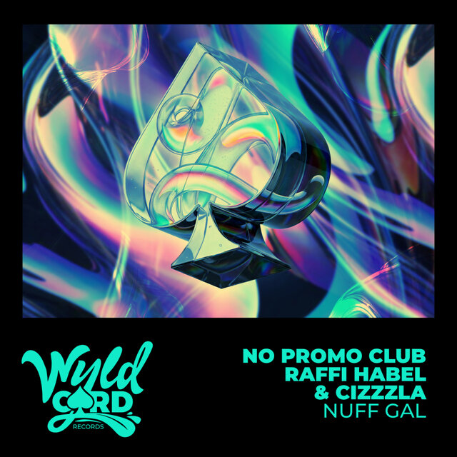 Cover art for album  by NO PROMO CLUB, Raffi Habel, Cizzzla