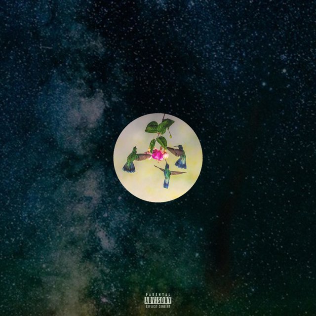 Blossom