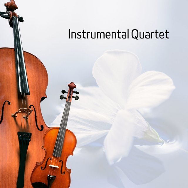 Instrumental Quartet